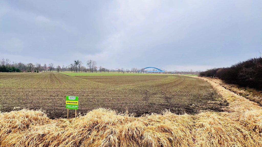Działka na sprzedaż 2553 m² Opole-Czarnowąsy